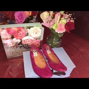 Lanvin Ballet Shoes Classic (flats)